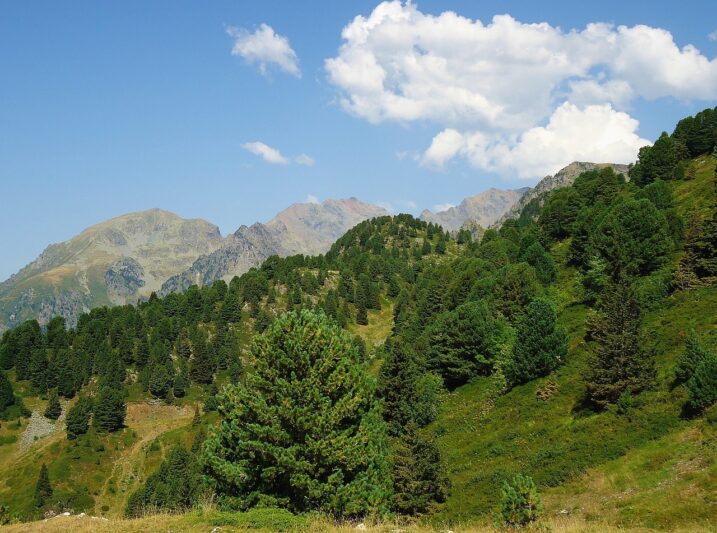 Cascade de l’Ourisère à Séchilienne – Coin nature caché près de Grenoble